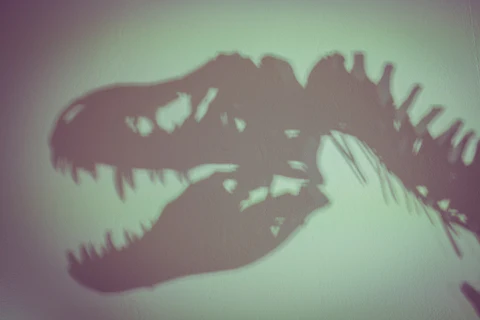 shadow of dinosaur