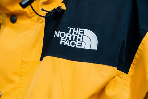 logo of the north face