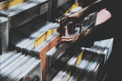 the collection of vinyl records