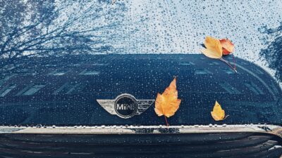 leaves on the mini cooper